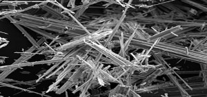 Fibre di amianto antofillite (immagine SEM) immagine di WIkipedia